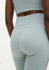 Seamless  Rib legging