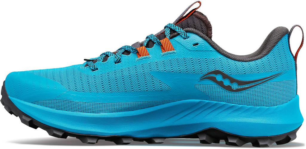 Peregrine 13 trailschoenen