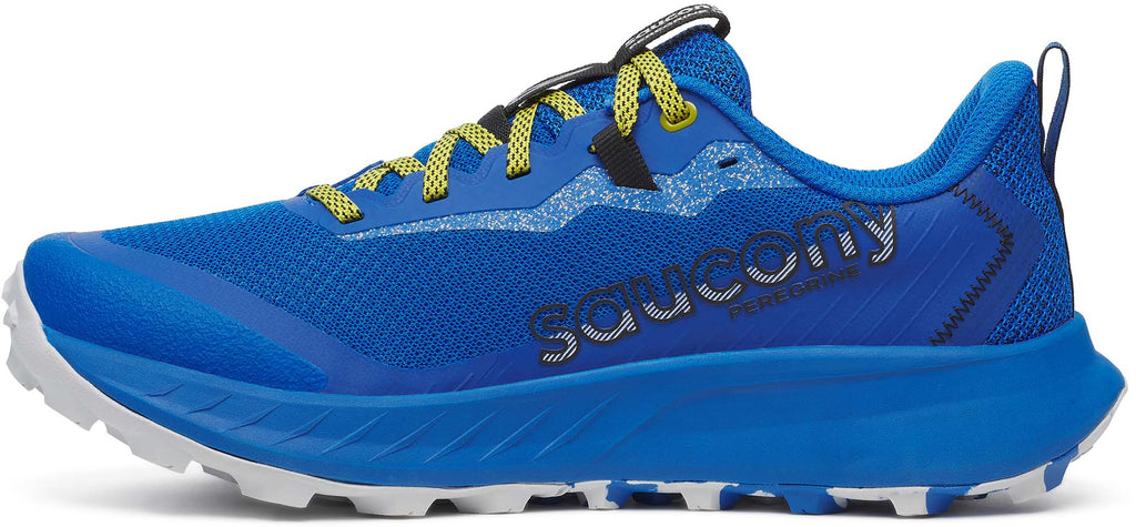 Peregrine 15 trailschoenen