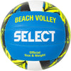 Champion beachvolleybal