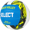 Champion beachvolleybal