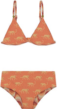 Rosie Reversible Bikiniset Groovy Leopard