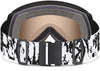 Proxy skibril