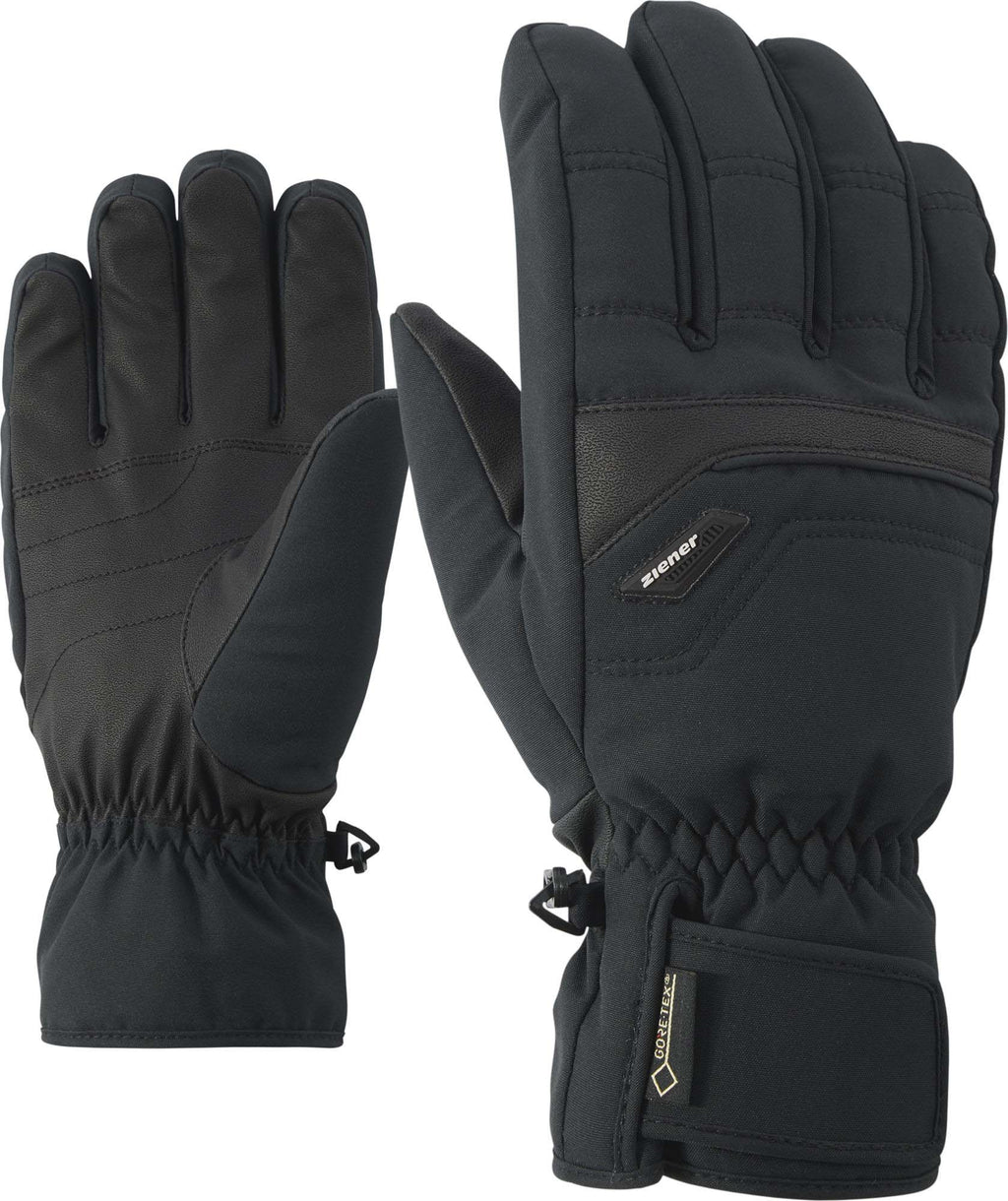 Glyn Gtx Gore Plus skihandschoenen